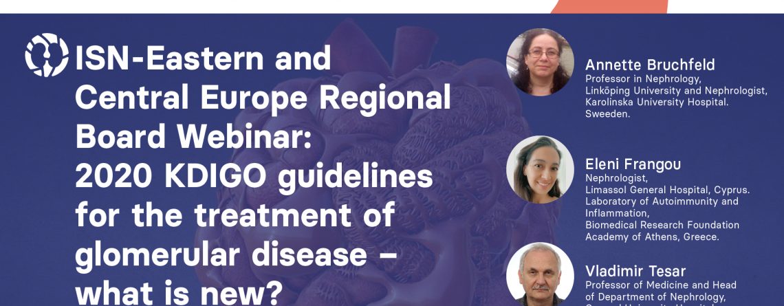 ISN Eastern and Central Europe Regional Board webinar