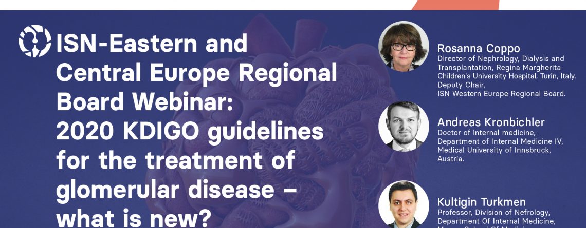 ISN Eastern and Central Europe Regional Board webinar