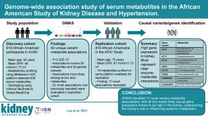 Genome-wide Association Study of Serum Metabolites in the African American Study of Kidney Disease and Hypertension